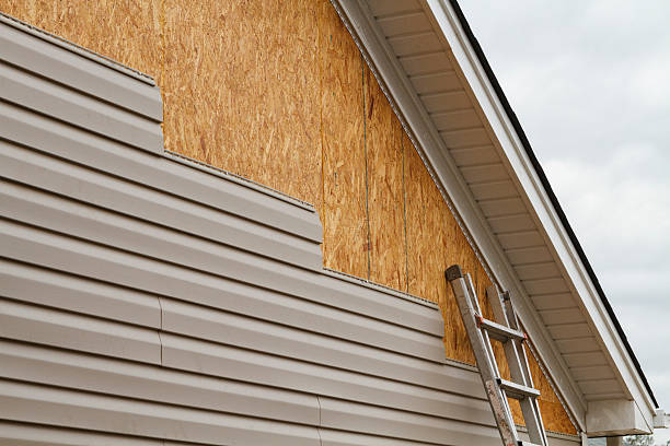 Professional Wood Siding technician working in Kingsville, TX